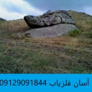 لاکپشت در دفینه یابی