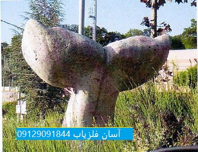 نشانه نهنگ در دفینه یابی